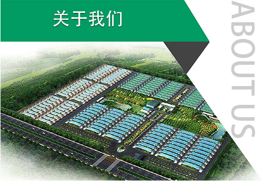 PEP利得膜 PEP利得膜