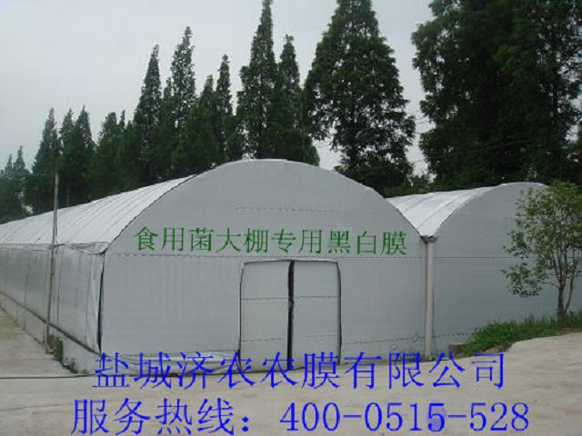 1520216031634603.png 圖片4.png