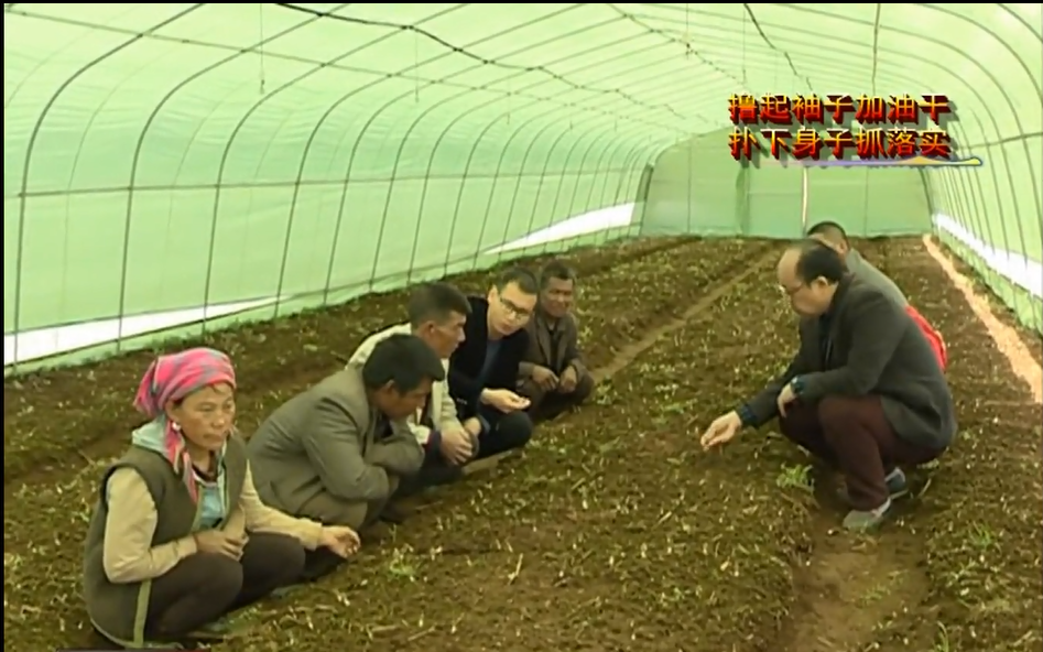 PEP利得膜 PEP利得膜