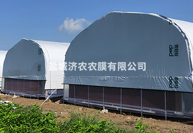 養(yǎng)殖大棚用黑白膜 養(yǎng)殖大棚用黑白膜