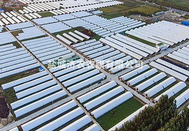 養(yǎng)殖大棚用黑白膜 養(yǎng)殖大棚用黑白膜