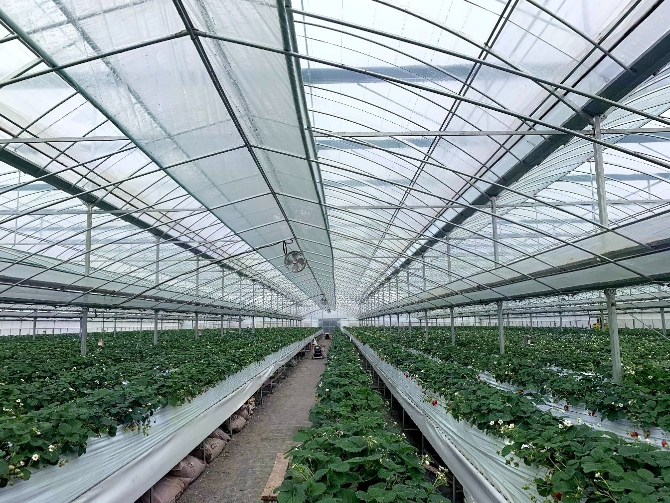 濟(jì)農(nóng)農(nóng)膜 濟(jì)農(nóng)農(nóng)膜